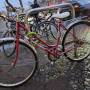 peugeot_rot.jpg